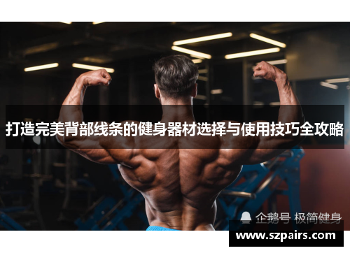 打造完美背部线条的健身器材选择与使用技巧全攻略