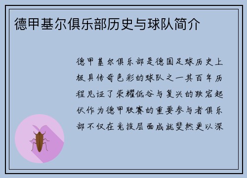 德甲基尔俱乐部历史与球队简介