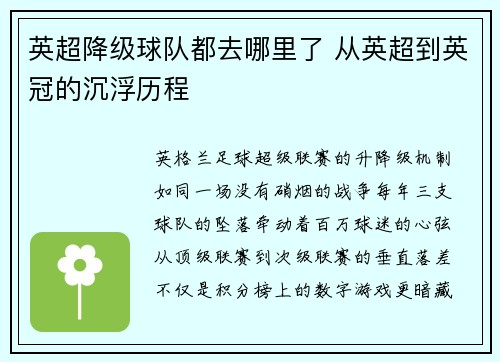 英超降级球队都去哪里了 从英超到英冠的沉浮历程